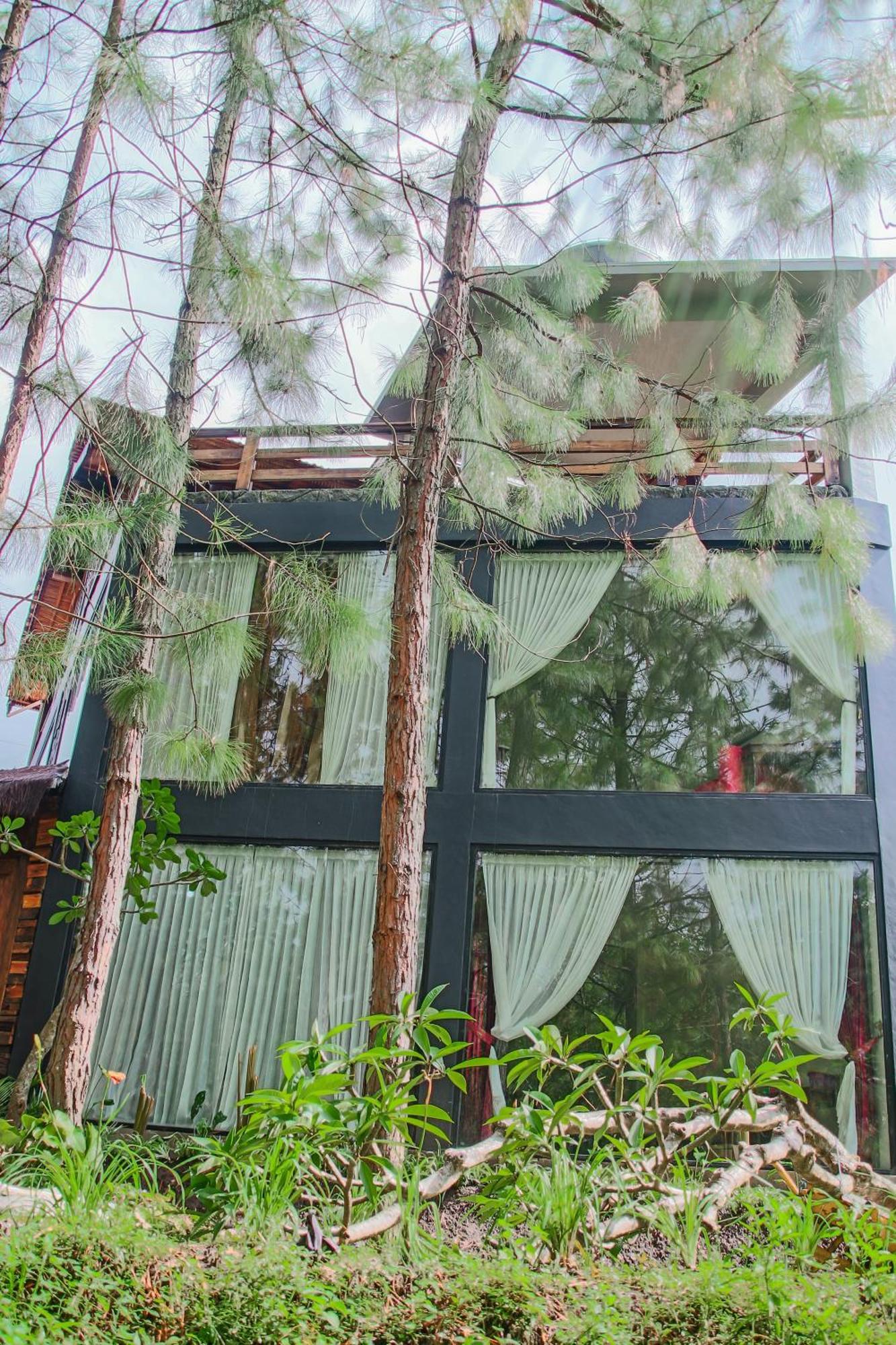 Omah Kayu Bromo Vila Ngadisari Exterior foto