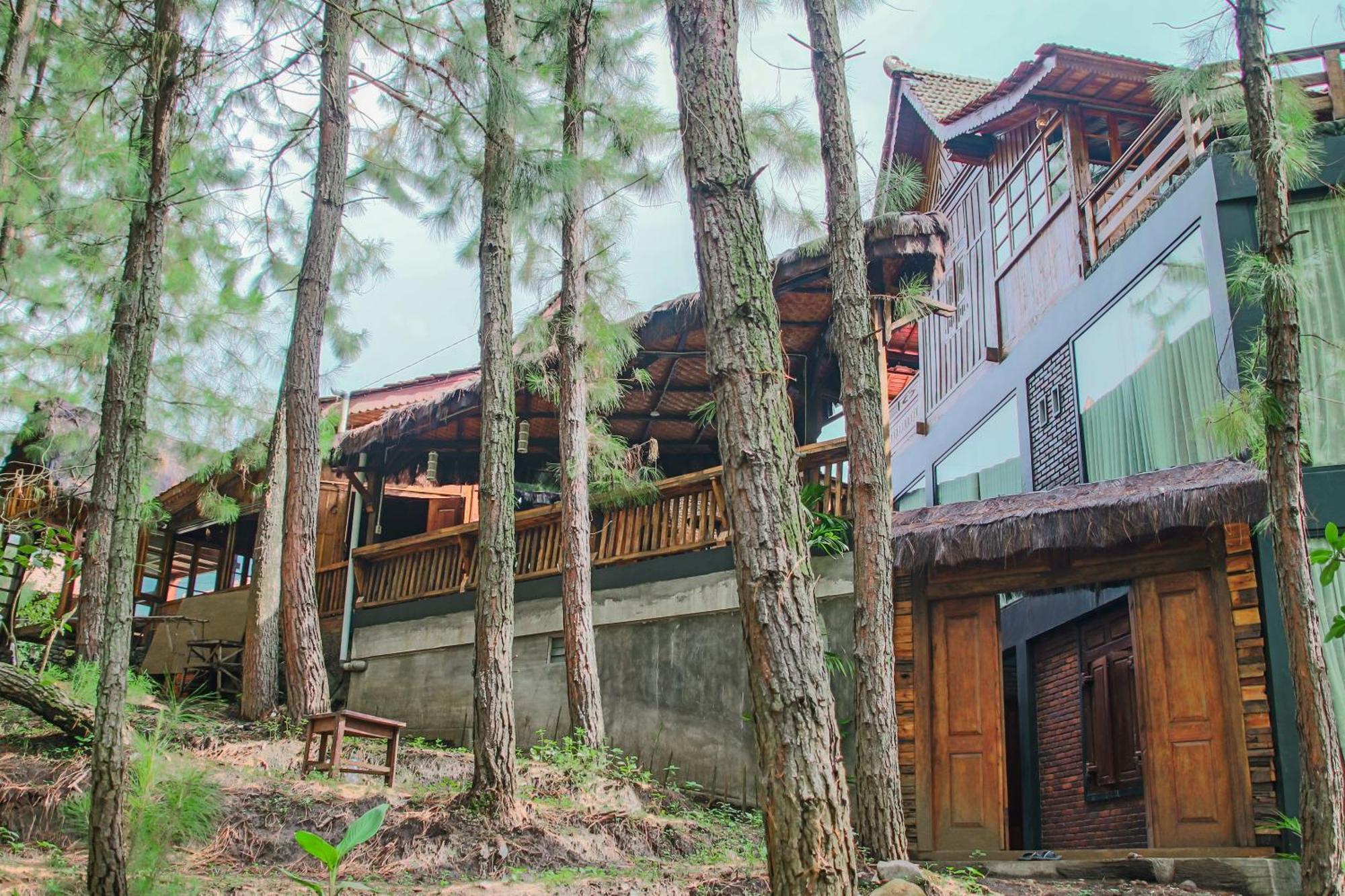 Omah Kayu Bromo Vila Ngadisari Exterior foto